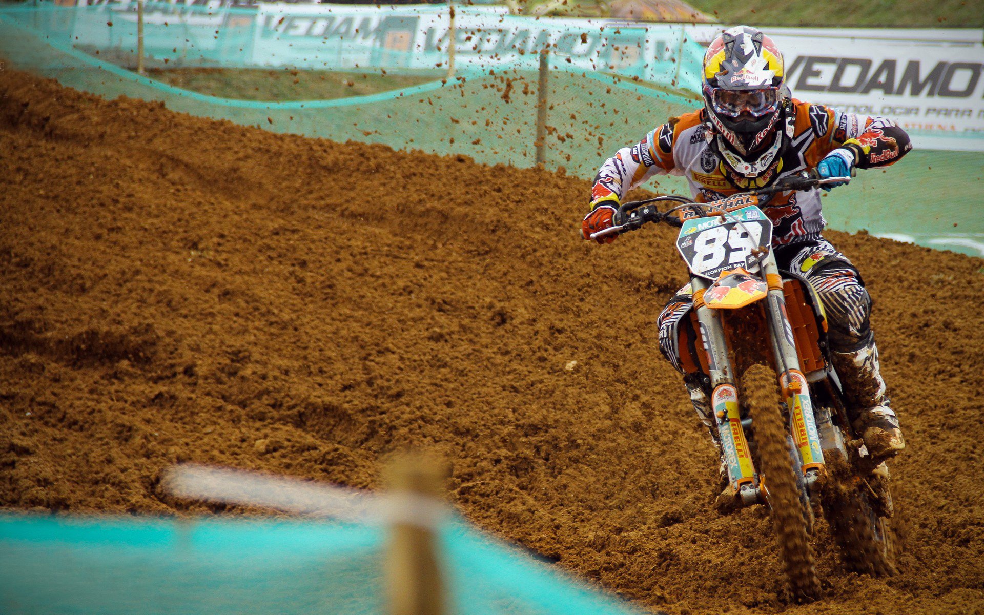 仰泳分项德国节奏感掌控出色，仰泳bd